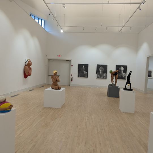 Medici Museum of Art