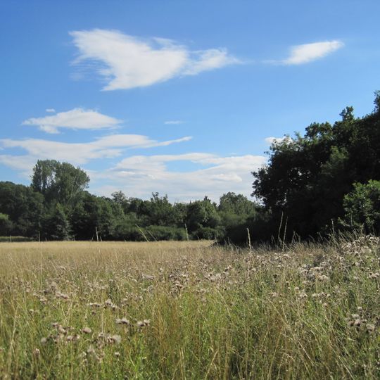 Totteridge Fields
