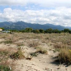 Area naturale protetta di interesse locale Dune di Forte dei Marmi