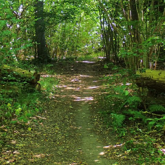 Halla nature reserve