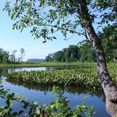 Featherstone National Wildlife Refuge