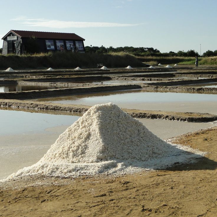 Saliny Port des Salines