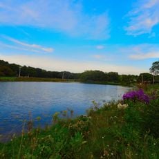Henry Vilas Park