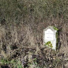 Milestone, W of Ready Token