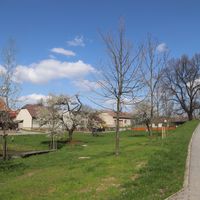 Krnčice