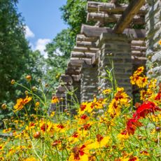 Stoneleigh: A Natural Garden