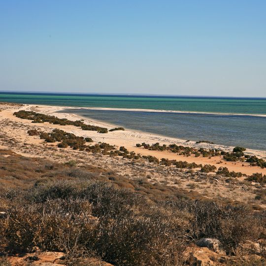Shark Bay