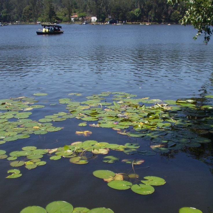 Kodaikanal Lake
