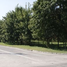 Cmentarz żydowski w Kodniu