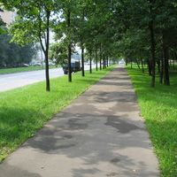 Vostochnoye Degunino District