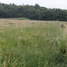 Bowl barrow on Calton Pastures, 1200m west of Calton Houses