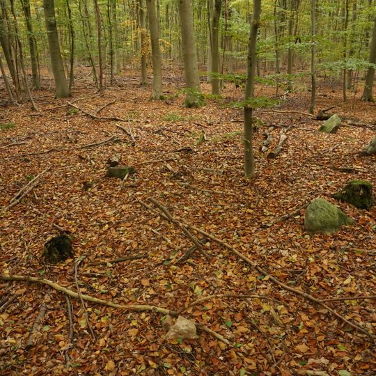 Großsteingrab Sachsenwald Fahrenhorst 3