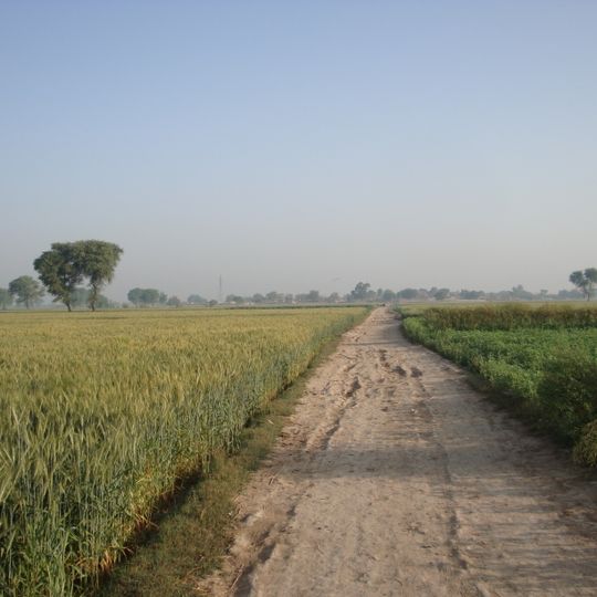 Arif Wala Tehsil