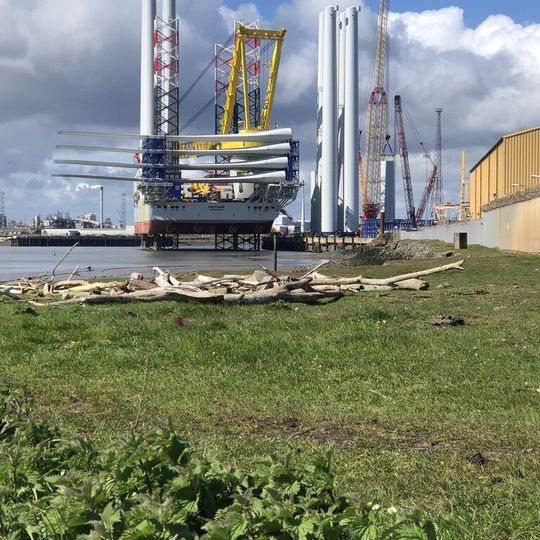 Dogger Bank Wind Farm