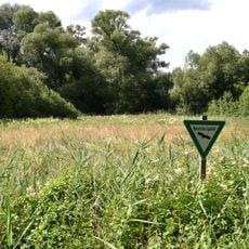 Oberwiesen von Sprendlingen