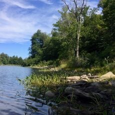 October Mountain State Forest