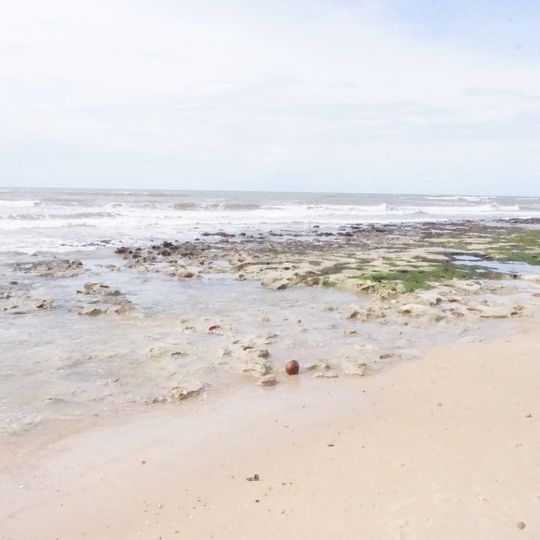 Pacheco Beach