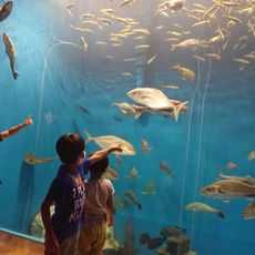 Hamanako Aquatic Experience Center Wotto