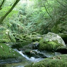 Fragas do Eume Natural Park