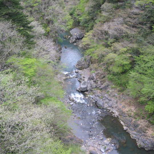 Tama River