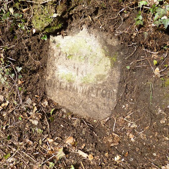 Milestone, by a wood W of Combebow, 10m W of entrance through spinney edge
