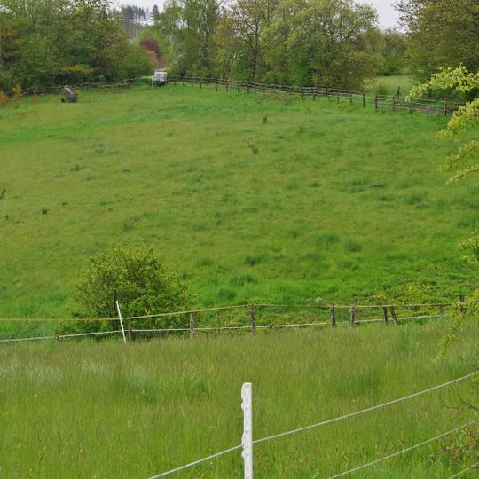 Magerwiesen bei Hohenhein