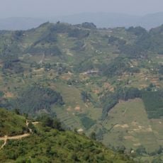 Bwindi Impenetrable National Park