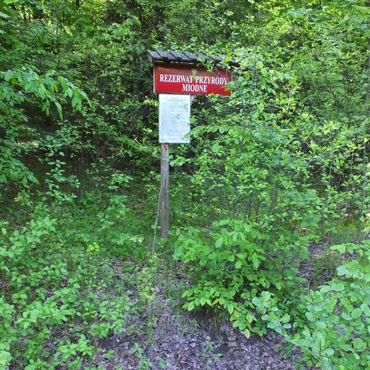Nature reserve Miodne