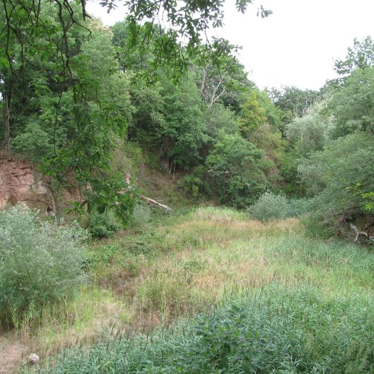 Naturdenkmal Steinbruch bei Langen