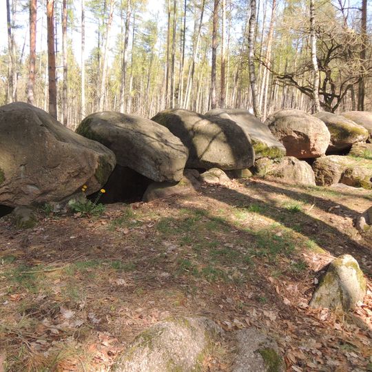 Großsteingräber im Haldensleber Forst
