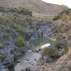 Forre laviche del Simeto