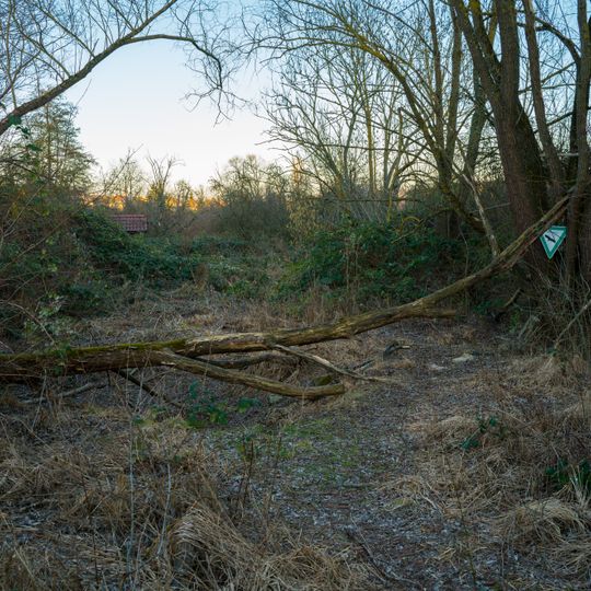 Feuchtflächen u.Gehölze im Gebiet der Hartwiesen