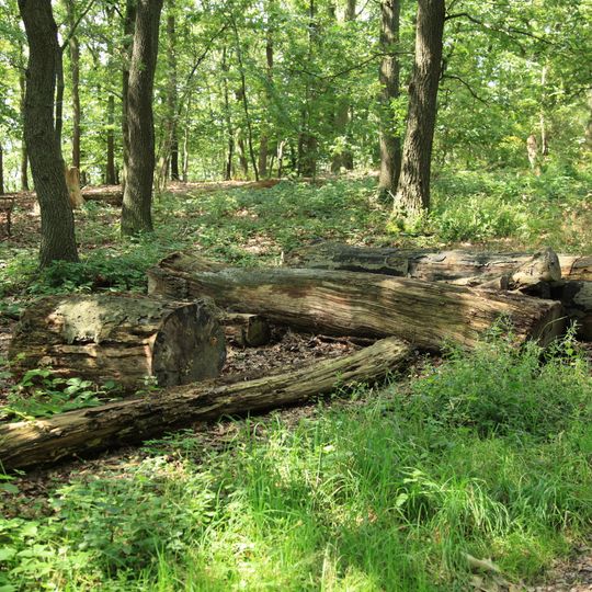 Landschaftsschutzgebiet Selbecke