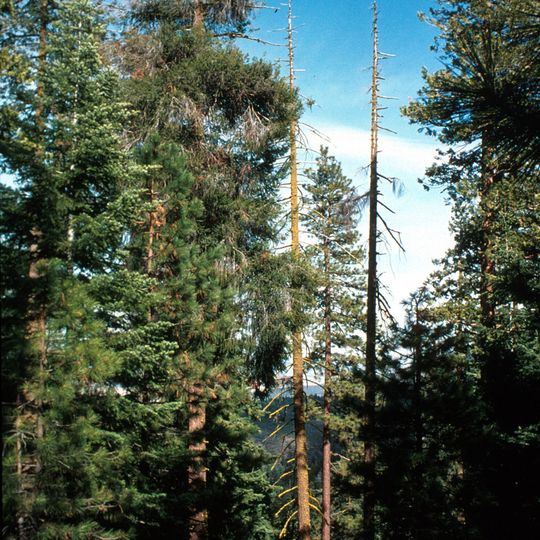 Bear Valley National Wildlife Refuge