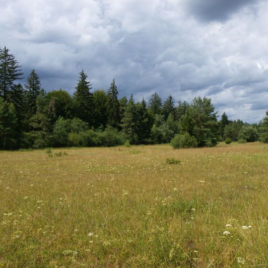 Schießplatzheide