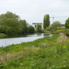 Barnes Meadow