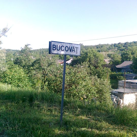 Bucovăţ