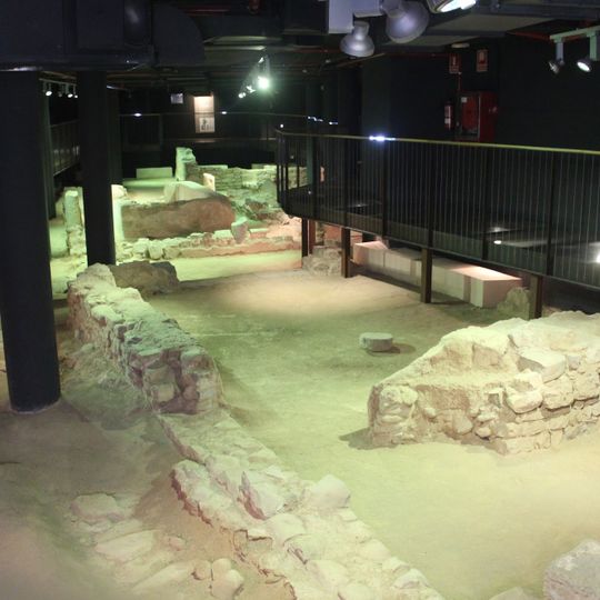 Museu de la Domus dels Peixos