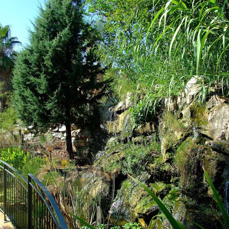 Jardin Botanique de la Ville de Nice