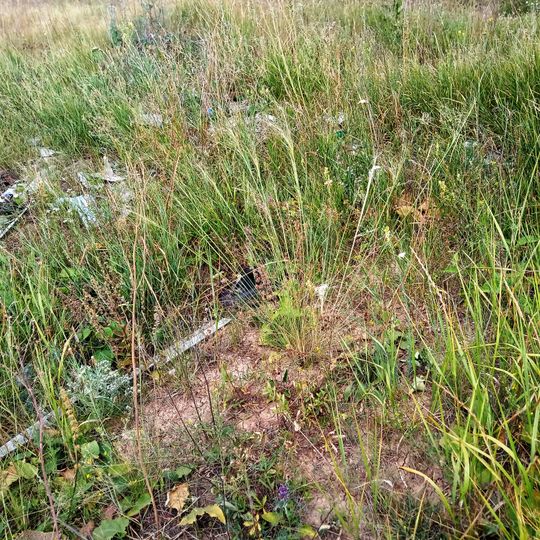 Znamenivs'ka Balka Botanical Sanctuary