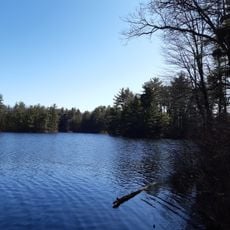 Leominster State Forest