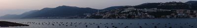 Panoramic View 2