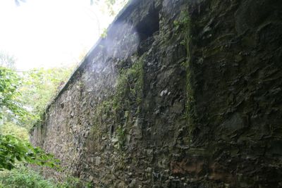 Immagine alternativa