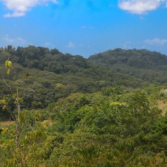 Bita e Utinga Ecological Station
