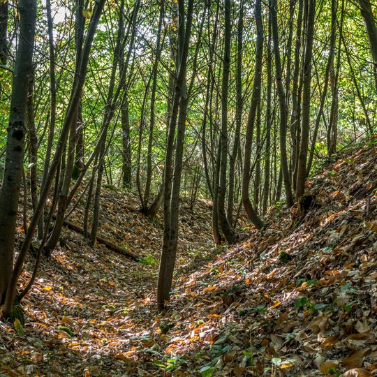 Enceinte de terre de la Bigotais