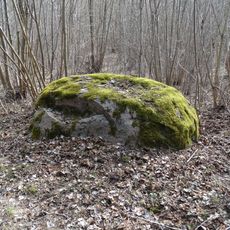 Užkalniai boulder