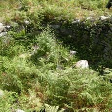 Foxo de lobo de Gargamala