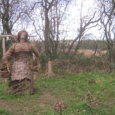 Willow Miner's Wife