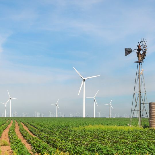 Ferme éolienne de Roscoe