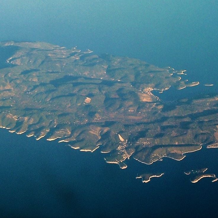 Vis